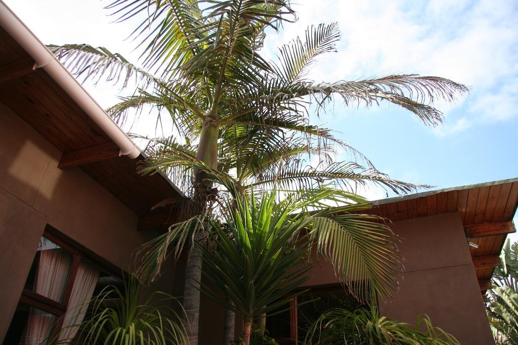 Dunedin Star Guesthouse Swakopmund Exterior foto