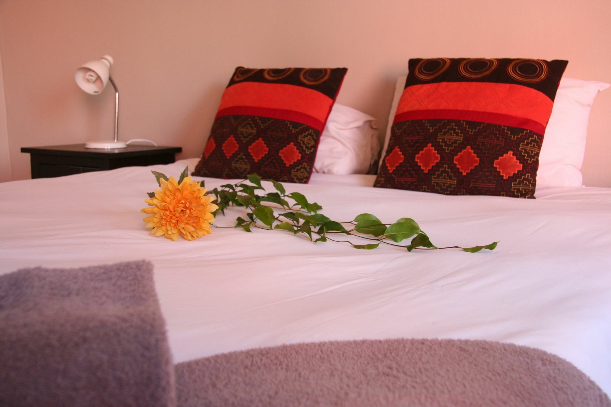 Dunedin Star Guesthouse Swakopmund Exterior foto